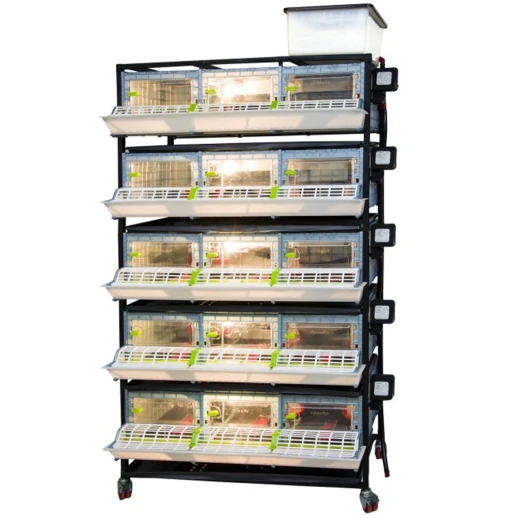 Брудер для цыплят Cimuka CB25 3 секции 5 ярусов 98x60x196 см пластиковый