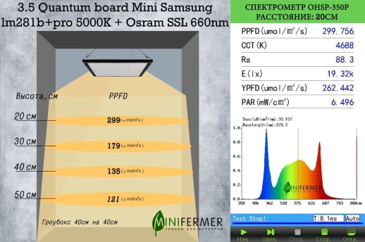 3.5 Quantum board Mini Биколор комфорт