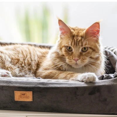 Диван-кровать Ferplast HARRIS 65 коричневый