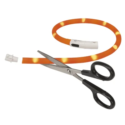 Ошейник Ferplast NIGHT OVER 55 мерцающий с USB зарядкой