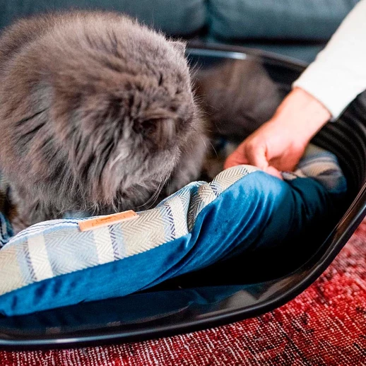 Подушка Ferplast SCOTT 55 синяя