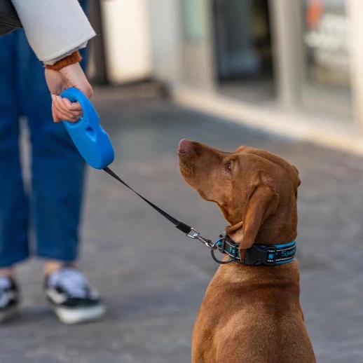 Рулетка Ferplast FLIPPYONE M черная лента 5м 25кг