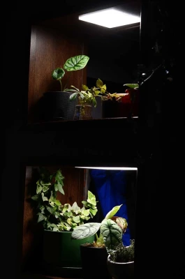 Комплект Quantum board mini 24 Вт