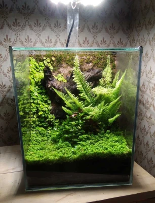 Комплект Quantum board mini 24 Вт