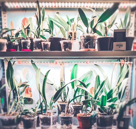 Модуль Фулл Комфорт - Универсальный. Белый свет.