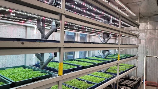 Комплект Quantum line 115 см