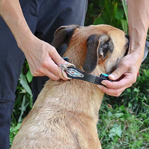 Ошейник Ferplast ERGOFLUO C15/42 с подкладкой и микрорегулировкой оранжевый