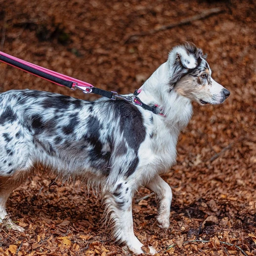 Поводок Ferplast ERGOFLUO MATIC GA20/200 желтый