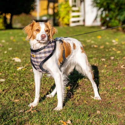 Шлейка Ferplast NIKITA FUR XL дышащая с теплой подкладкой клетка