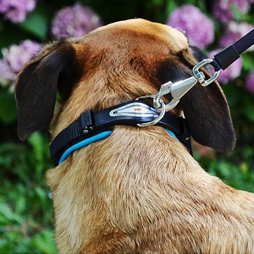 Ошейник Ferplast ERGOFLUO C15/42 с подкладкой и микрорегулировкой фуксия