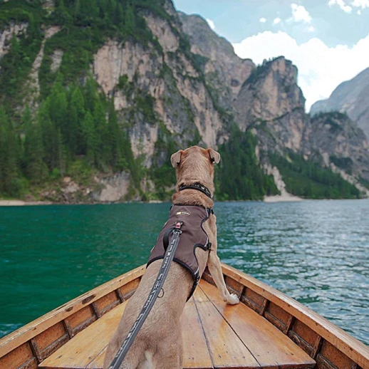 Шлейка Ferplast ERGOTREKKING M эргономичная с микро регулировкой коричневая