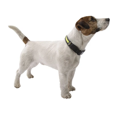 Ошейник Ferplast NIGHT L светоотражающий и мерцающий