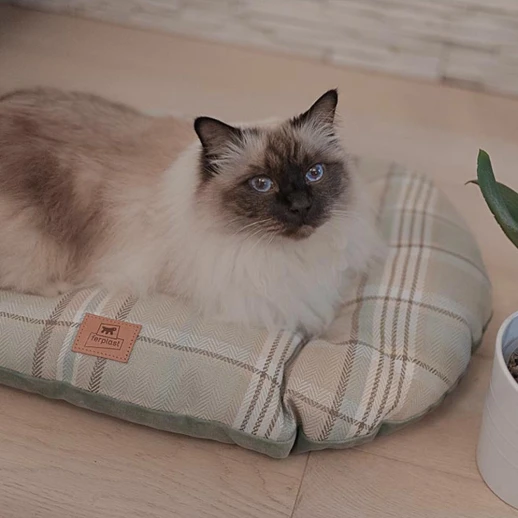 Подушка Ferplast SCOTT 65 синяя