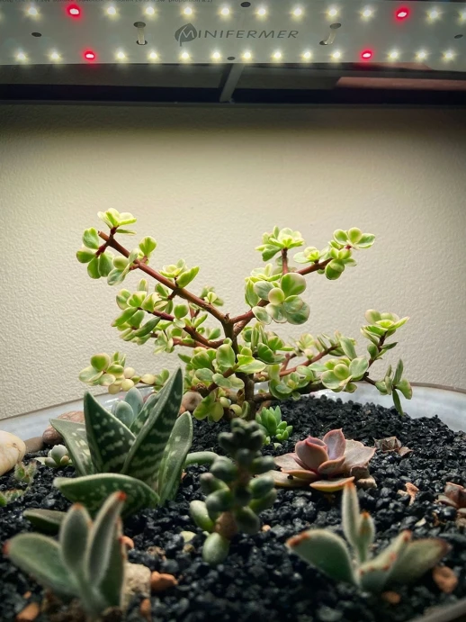 Модуль Фулл Комфорт - Универсальный.Белый свет.