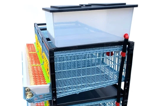 Клетка для перепелов Cimuka Comfortplast 3 секции 4 яруса 98x61x163 см пластиковая с яйцесборником