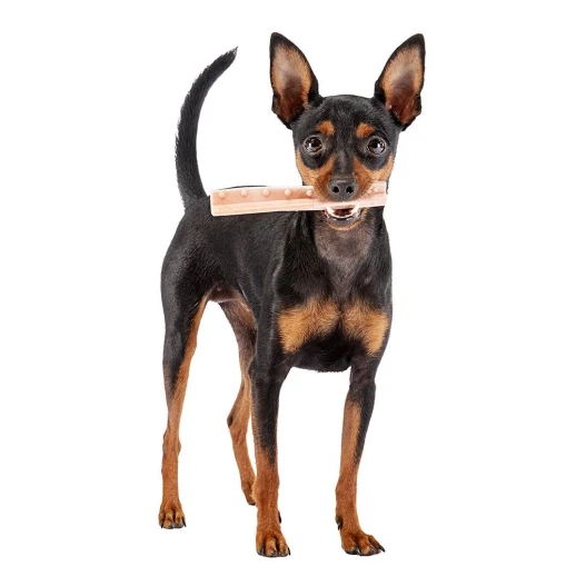 Подарочный набор Ferplast GoodBite HELIX M 96 шт. в упаковке