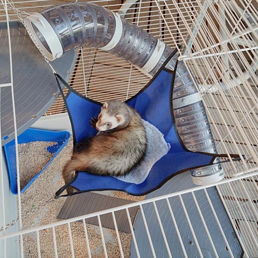 Клетка Ferplast FURET XL для хорьков серая