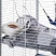 Клетка Ferplast FURET XL для хорьков серая