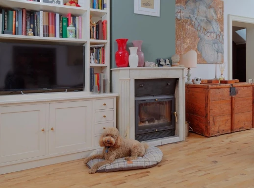 Подушка Ferplast SCOTT 78 зеленая