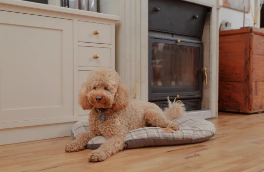 Подушка Ferplast SCOTT 78 зеленая