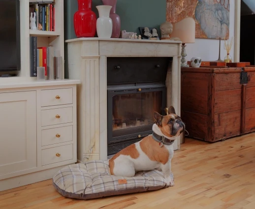 Подушка Ferplast SCOTT 78 зеленая