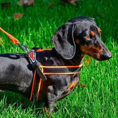 Шлейка Ferplast AGILA FLUO 4 нейлоновая с мягкой подкладкой жёлтая