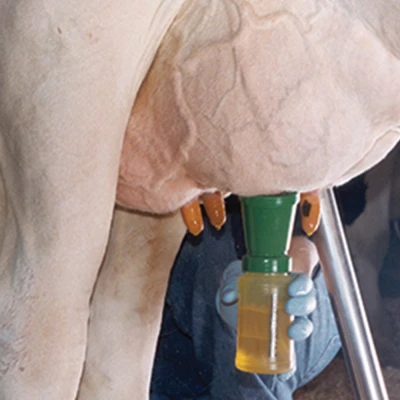 Стакан для обработки вымени после доения 300 мл. LSTL