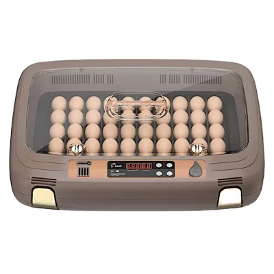 Инкубатор HHD 50 автоматический для яиц