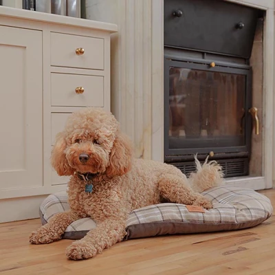 Подушка Ferplast SCOTT 78 коричневая