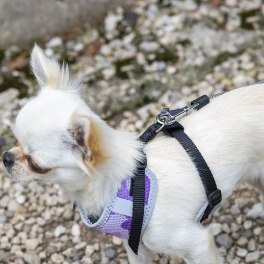 Рулетка Ferplast FLIPPYONE MINI черная шнур 3м 8кг