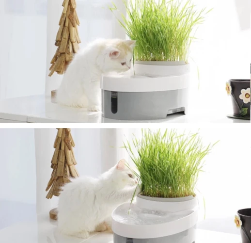 Автопоилка фонтан Petwant PW-101 3 в 1