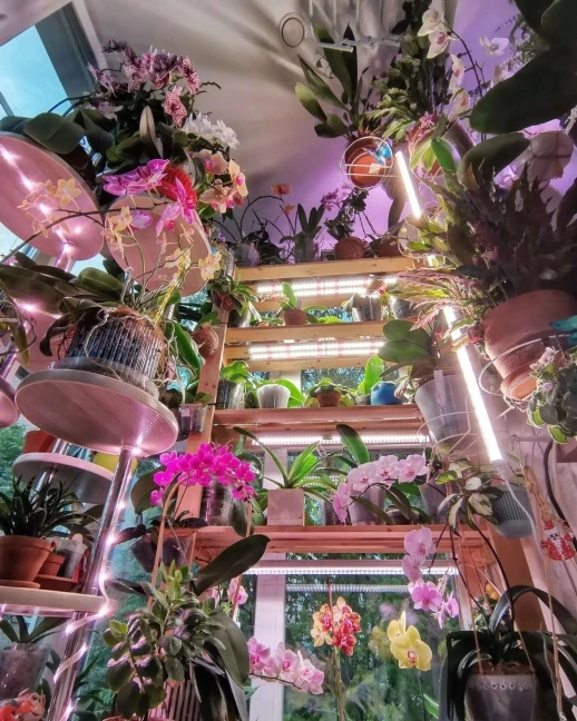 Комплект двойной Quantum line 60 см