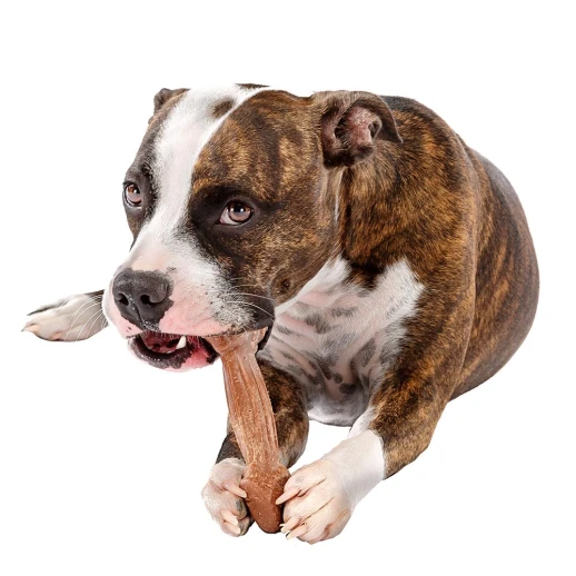 Подарочный набор Ferplast GoodBite M 32 шт. в упаковке