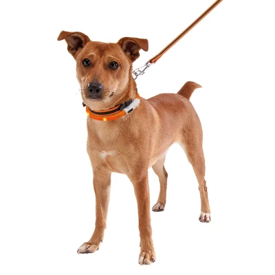 Ошейник Ferplast NIGHT OVER 70 мерцающий с USB зарядкой