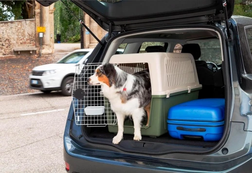 Переноска Ferplast ATLAS 60 CLASSIC для крупных собак