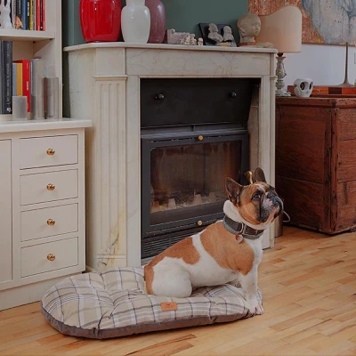 Подушка Ferplast SCOTT 78 синяя