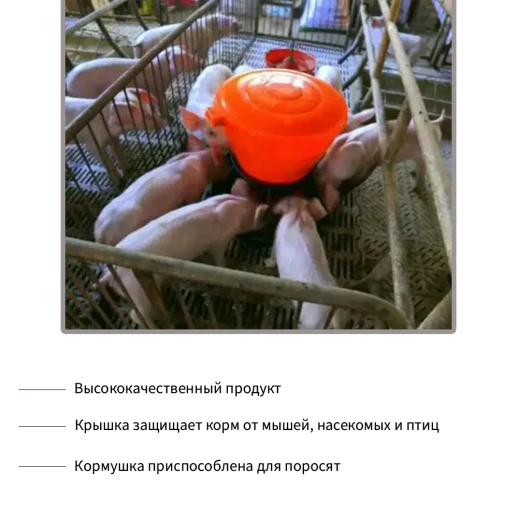 Кормушка бункерная LSTL 5 кг пластик для поросят