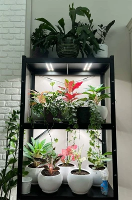 Готовый стеллаж для выращивания растений 187*90*40