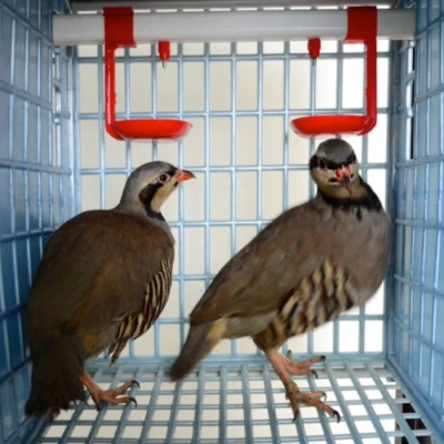 Клетка для куропаток Cimuka Comfortplast 3 секции 3 яруса пластиковая