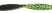 Ошейник Ferplast DAYTONA FANTASY C25/45 с мягкой подкладкой чёрный