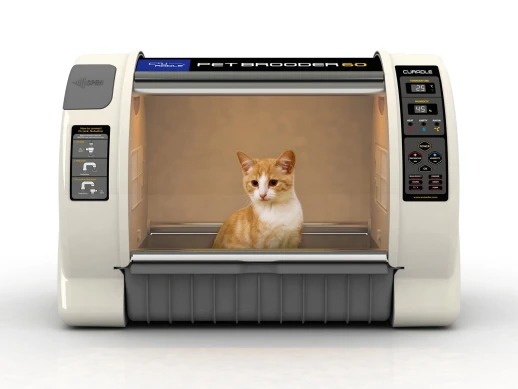 Брудер-павильон Rcom Pet Brooder 60 Curadle