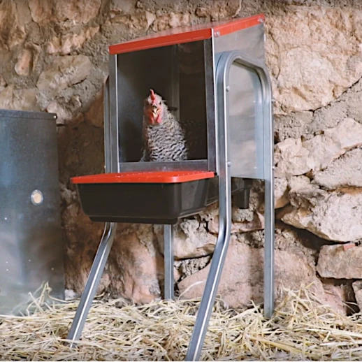 Гнездо для кур-несушек Copele Platinum 3 секции на ножках