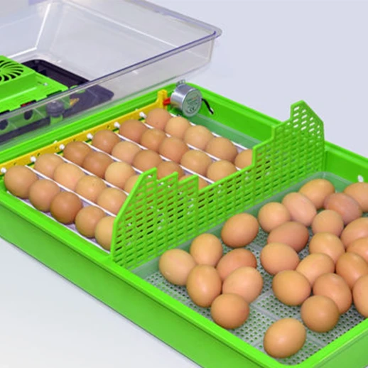 Инкубатор Cimuka PD60SH