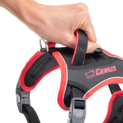 Шлейка Ferplast GENIUS XL нейлоновая с магнитными замками чёрно-красная