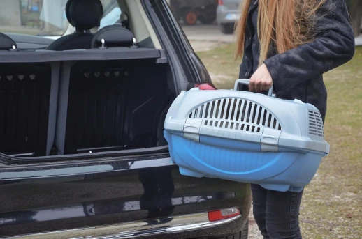 Переноска Ferplast ATLAS DELUXE OPEN 10 с ковриком и поилкой для кошек и собак