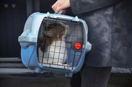 Переноска Ferplast ATLAS DELUXE OPEN 10 с ковриком и поилкой для кошек и собак