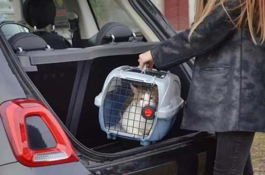 Переноска Ferplast ATLAS DELUXE OPEN 10 с ковриком и поилкой для кошек и собак