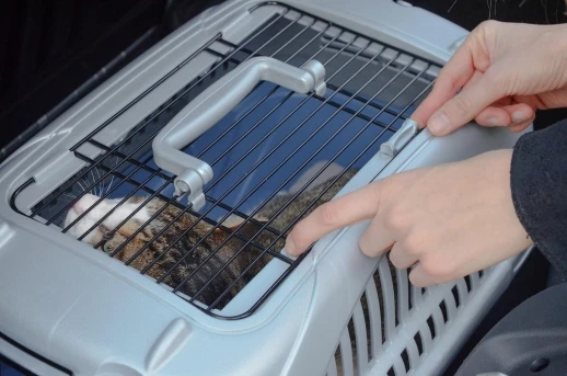 Переноска Ferplast ATLAS DELUXE OPEN 10 с ковриком и поилкой для кошек и собак