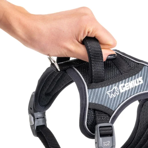 Шлейка Ferplast GENIUS XL нейлоновая с магнитными замками чёрная-карбон