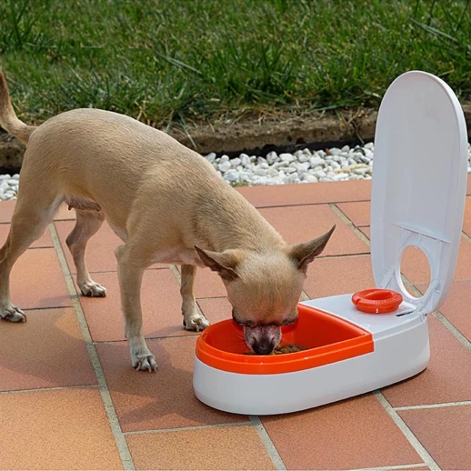 Автоматическая Кормушка Ferplast COMETA для домашних животных пластик